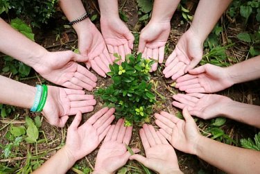 Волонтерам – успехов во всех начинаниях!